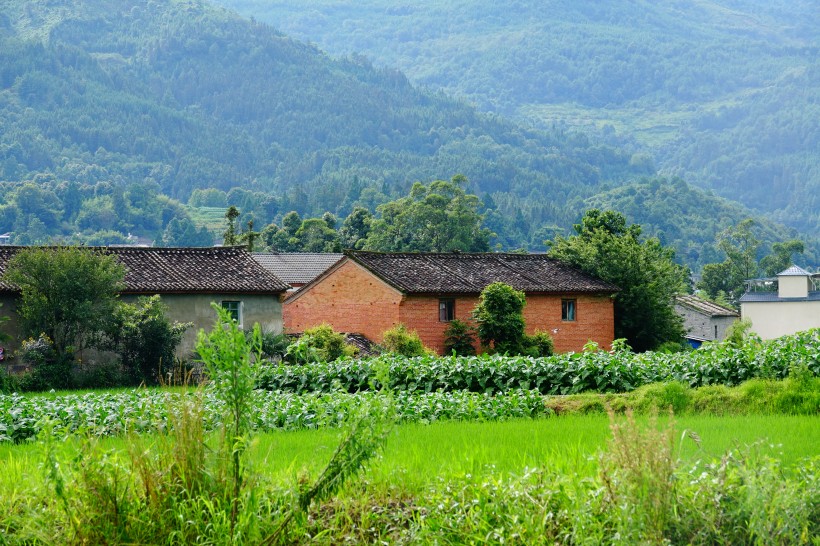 云南腾冲田园风景图片