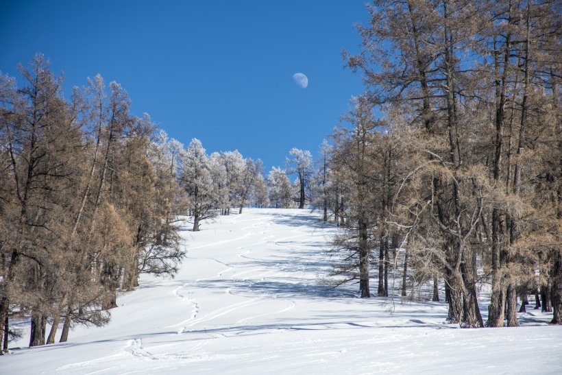 新疆禾木冬季雪景图片