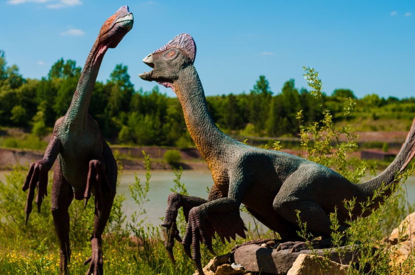 白垩纪时期的恐龙图片
