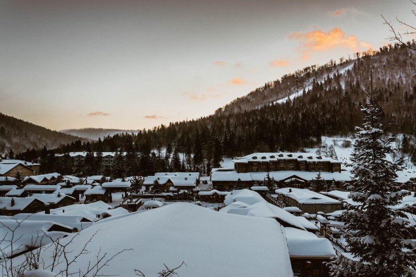 哈尔滨雪乡风景图片