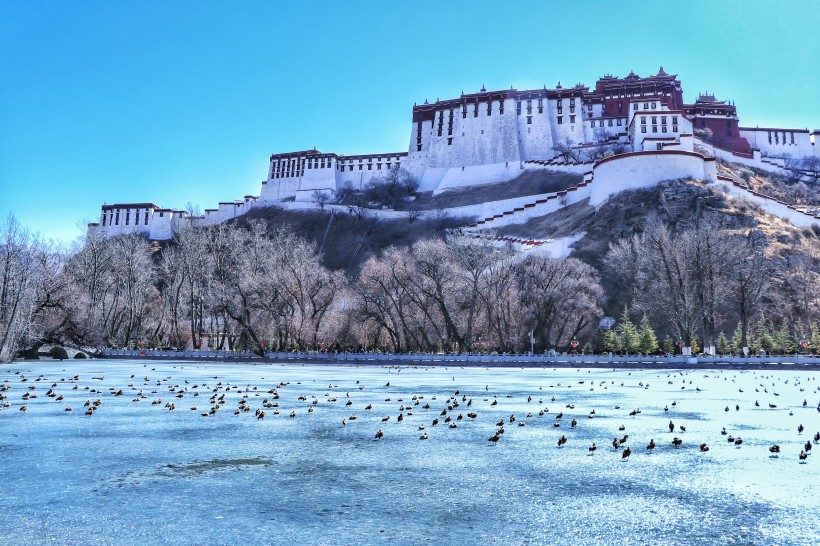 西藏拉萨冬季风景图片