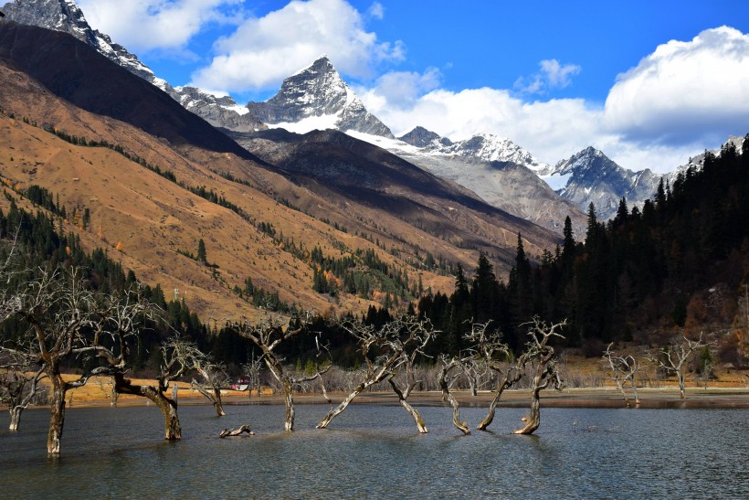 四川四姑娘山风景图片