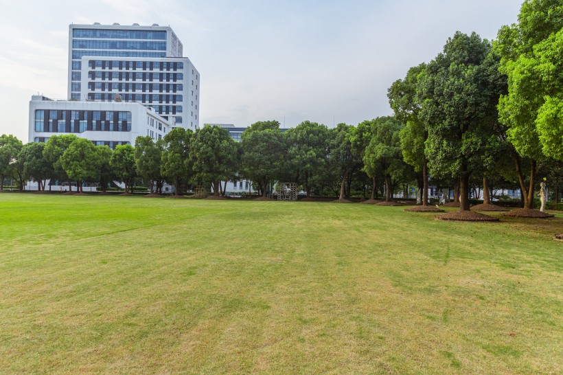 上海視覺藝術(shù)學(xué)院校園風(fēng)景圖片