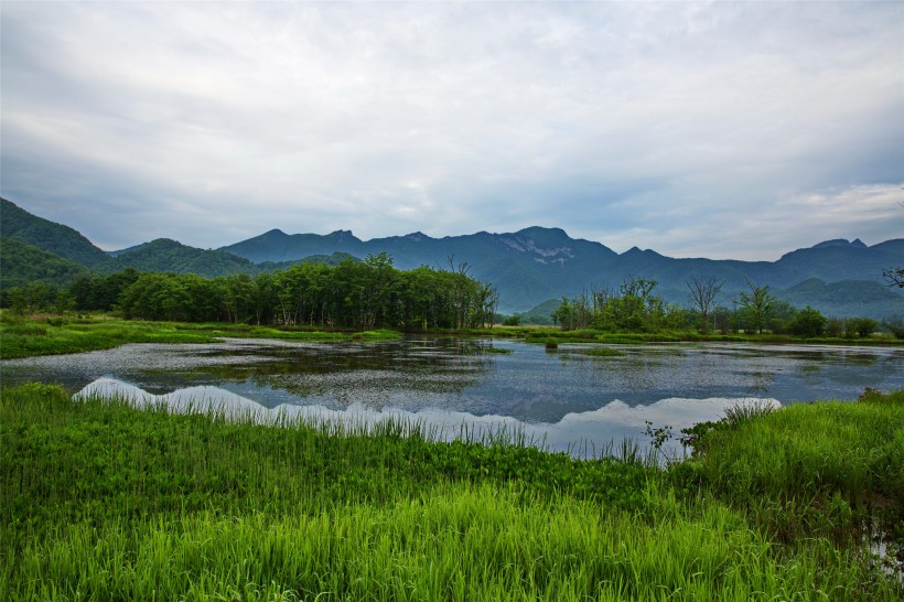 湖北神农架大九湖风景图片