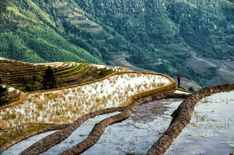 广西龙脊梯田风景图片