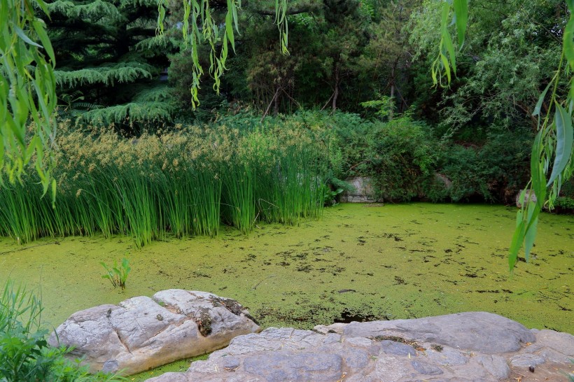 北京植物園風(fēng)景圖片