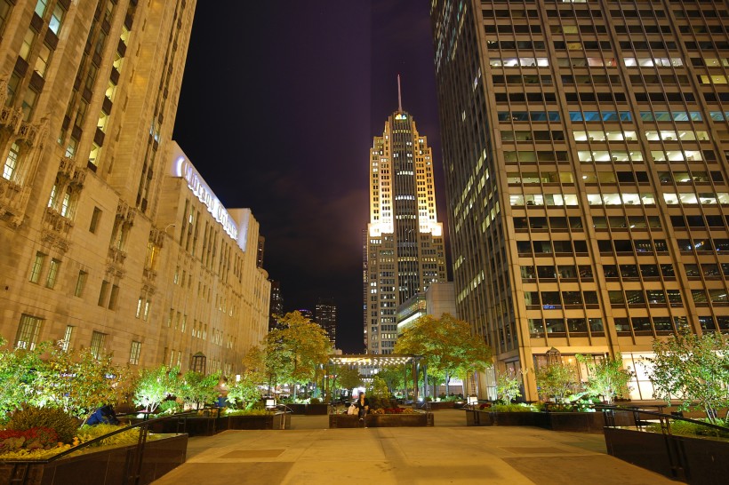 美国芝加哥河夜景图片