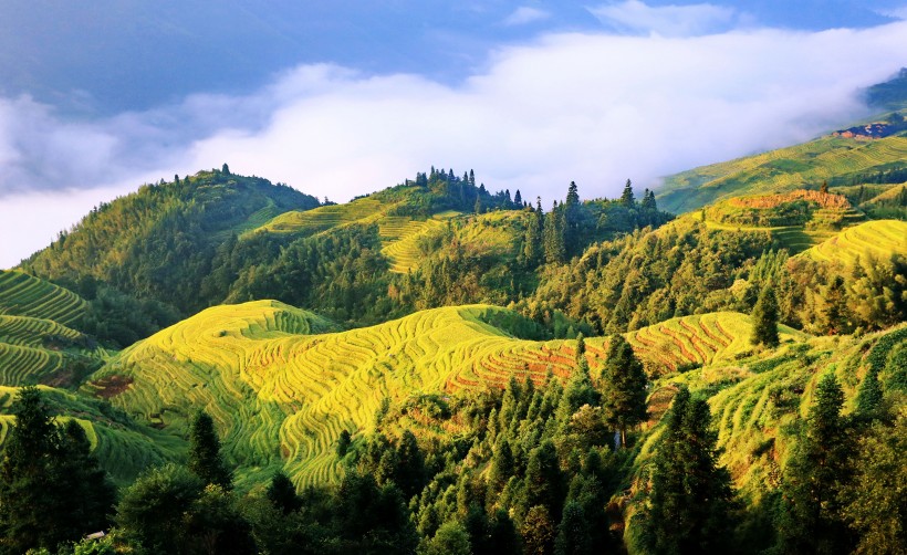 广西龙脊梯田风景图片