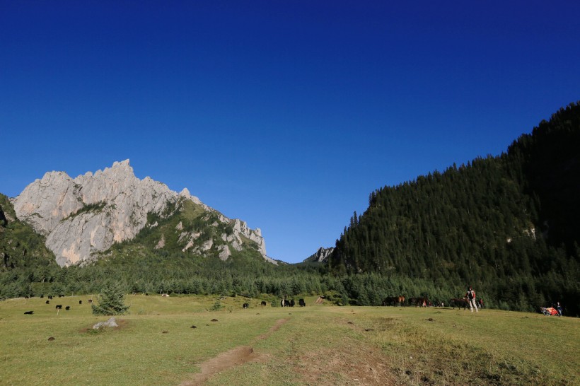 甘肃扎尕那山风景图片