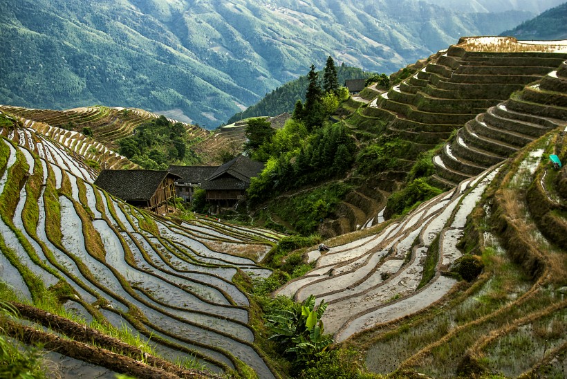 广西龙脊梯田风景图片