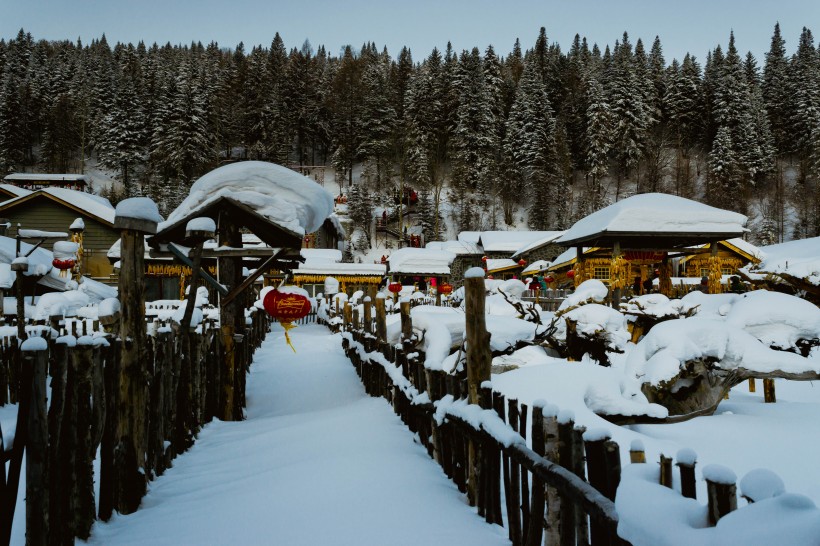 哈尔滨雪乡风景图片