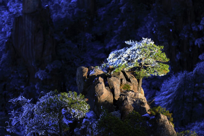 安徽黄山风景图片