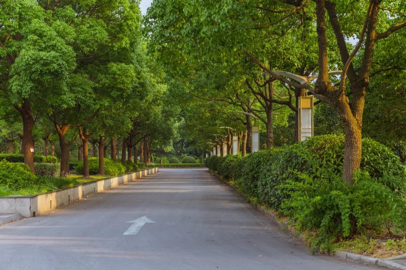 上海視覺藝術學院校園風景圖片