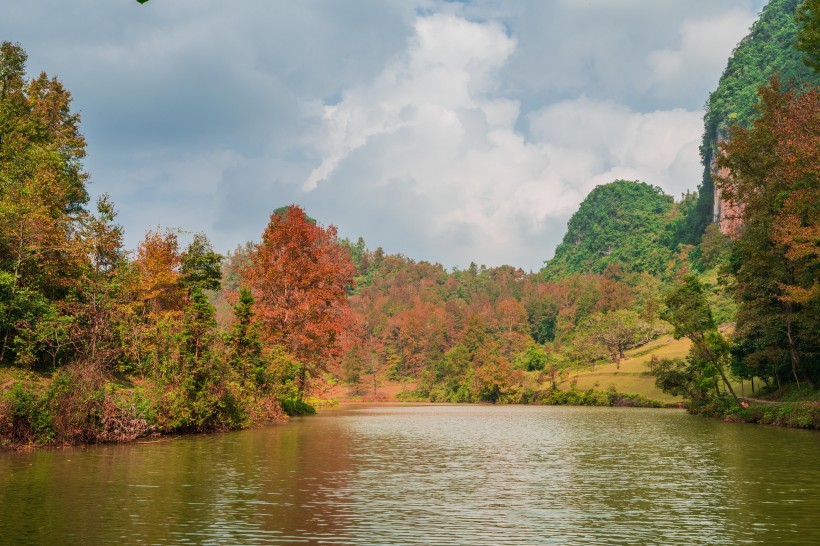 廣西德保紅楓森林公園風(fēng)景圖片