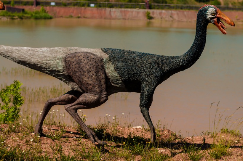 白垩纪时期的恐龙图片