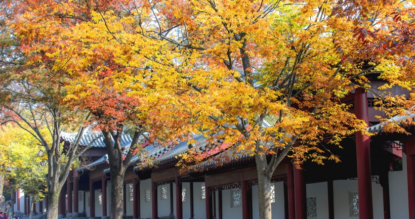 江苏南京明孝陵秋景图片