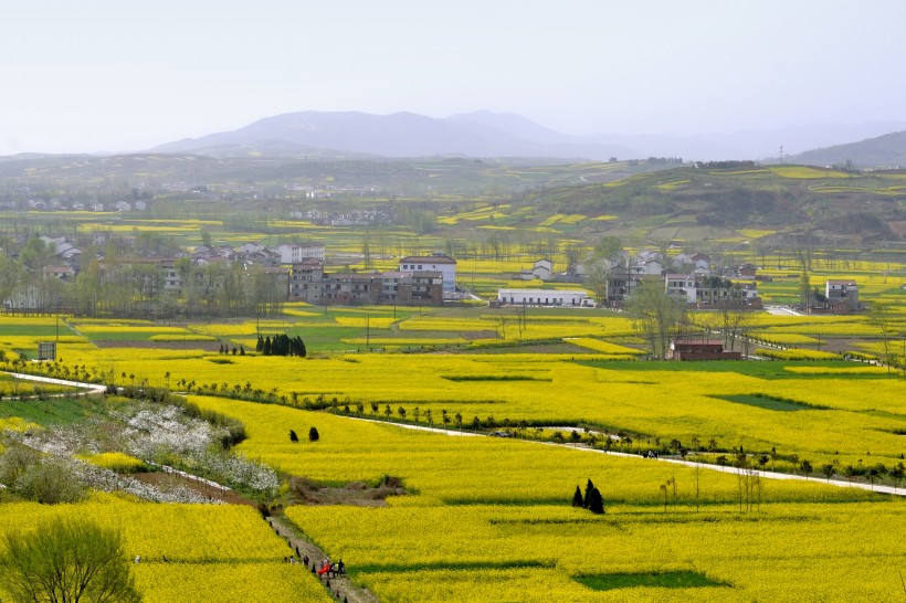 陕西西安风景图片