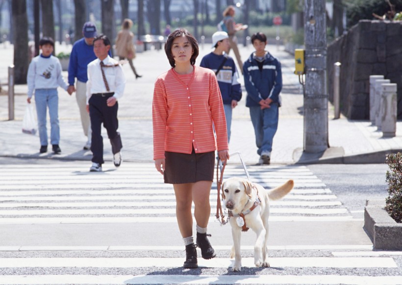 盲人和导盲犬日常生活图片