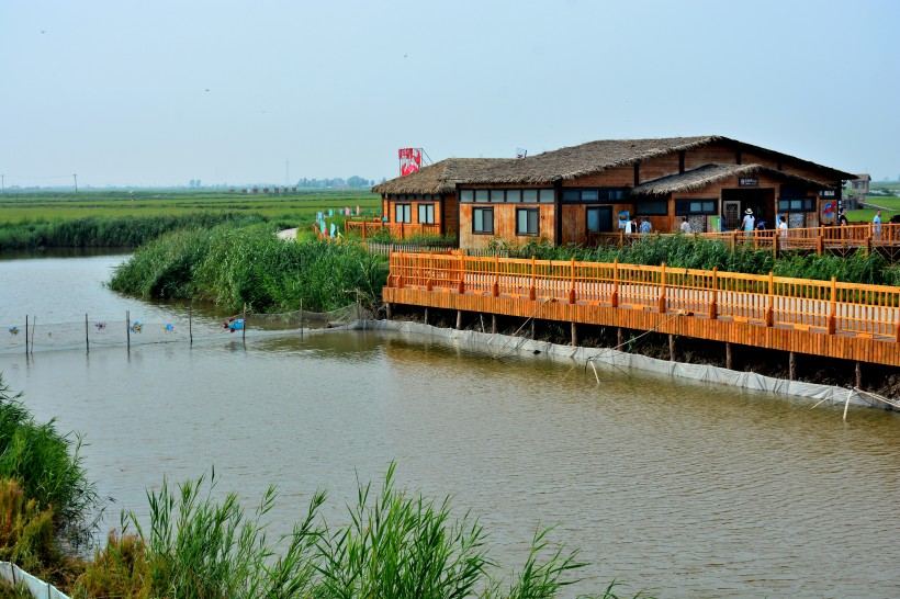 辽宁盘锦红海滩风景图片