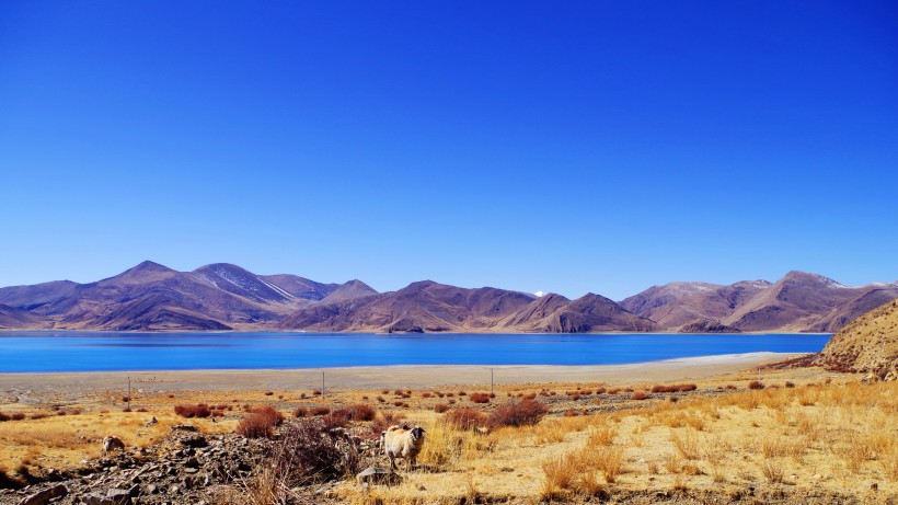 西藏羊卓雍错风景图片