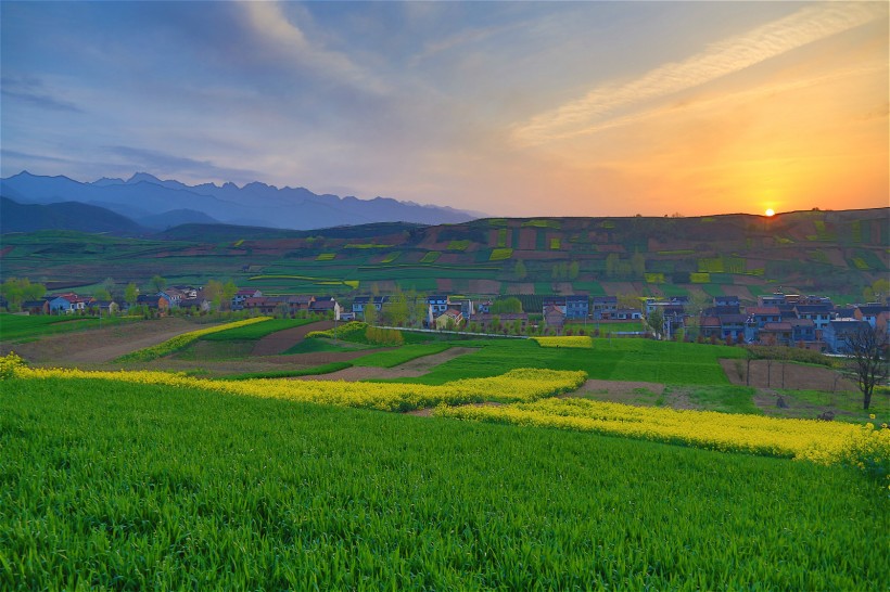 陜西西安鮑旗寨村油菜花風(fēng)景圖片