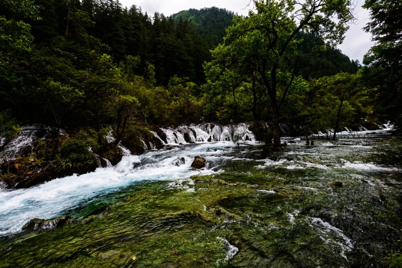 夏日九寨沟风景图片