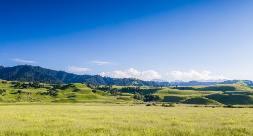 新疆那拉提草原風(fēng)景圖片