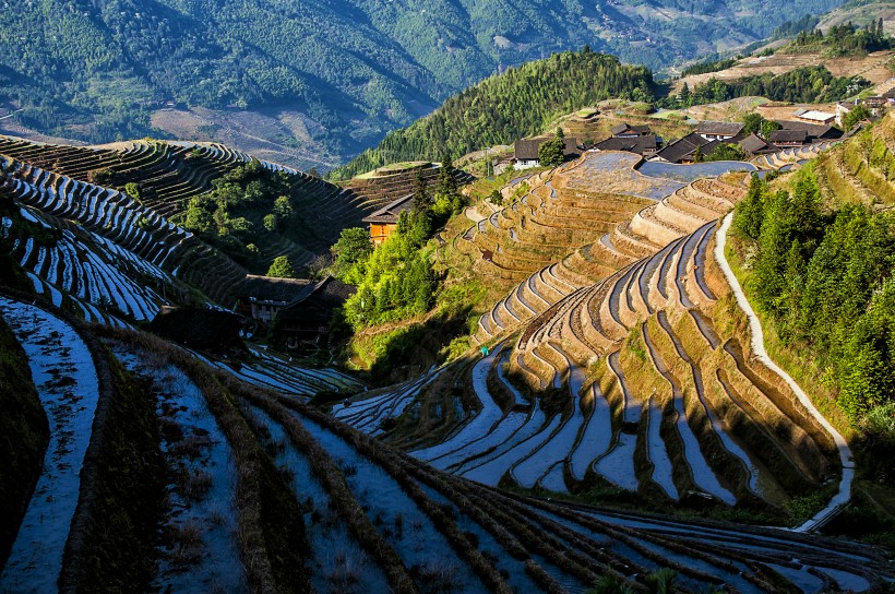 广西龙脊梯田风景图片