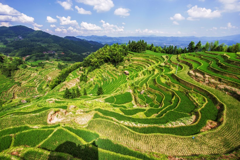 湖南紫鵲界梯田風(fēng)景圖片