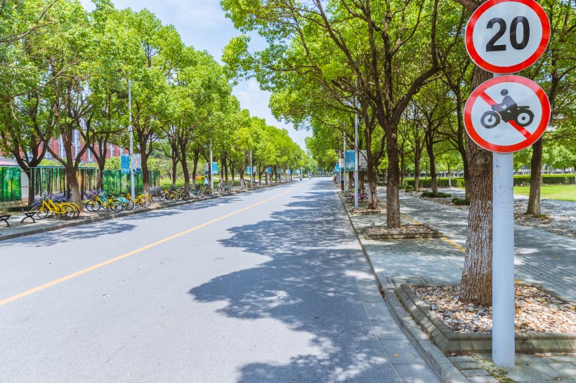 上海华东政法大学校园风景图片