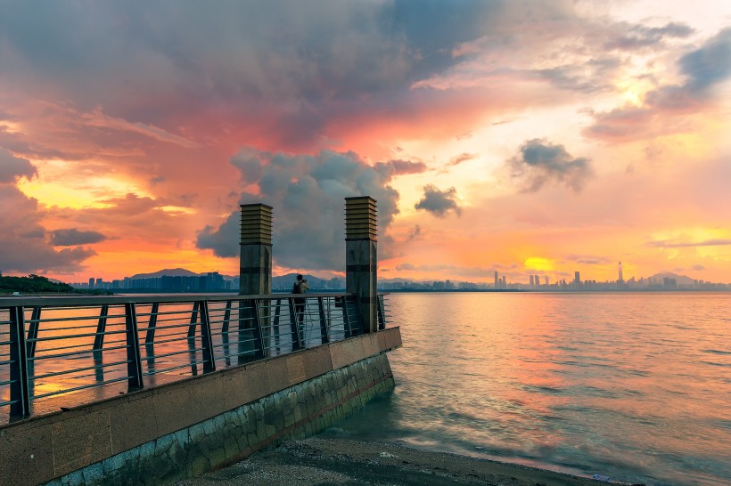 深圳湾风景图片