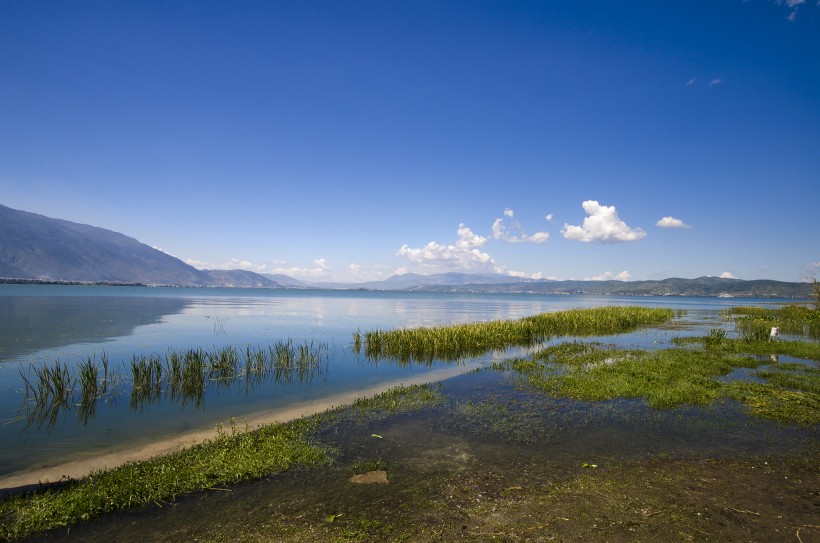 大理海舌生态公园风景图片