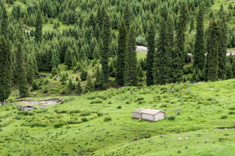 新疆天山牧场风景图片