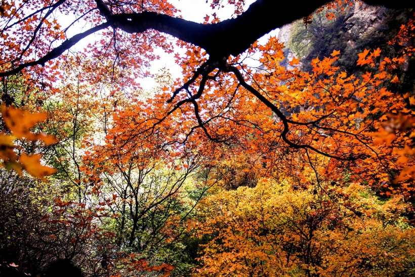 山西太行山风景图片