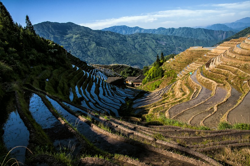 广西龙脊梯田风景图片