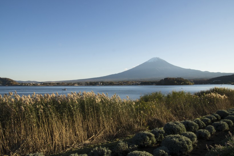 日本富士山的图片