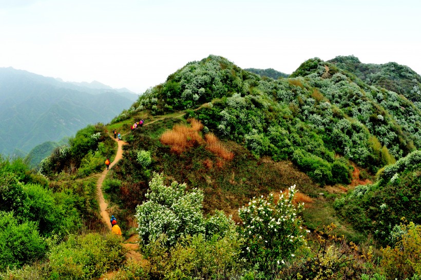 陜西西安風景圖片