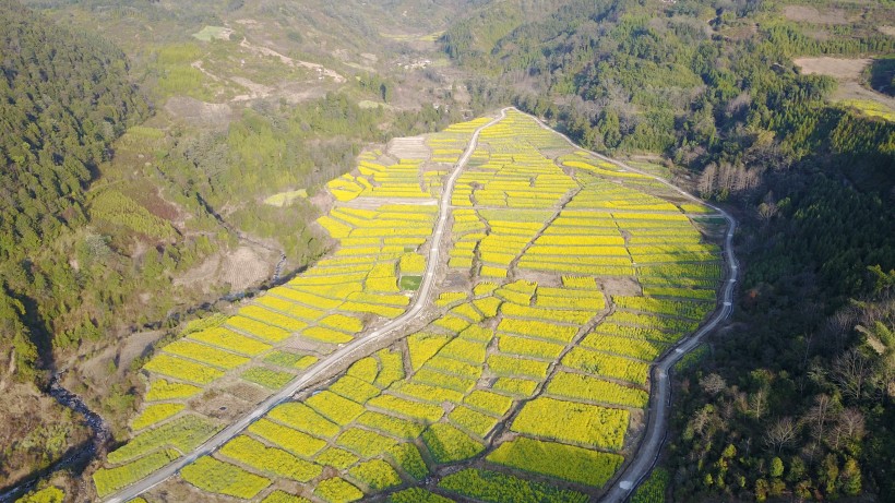 云南腾冲田园风景图片