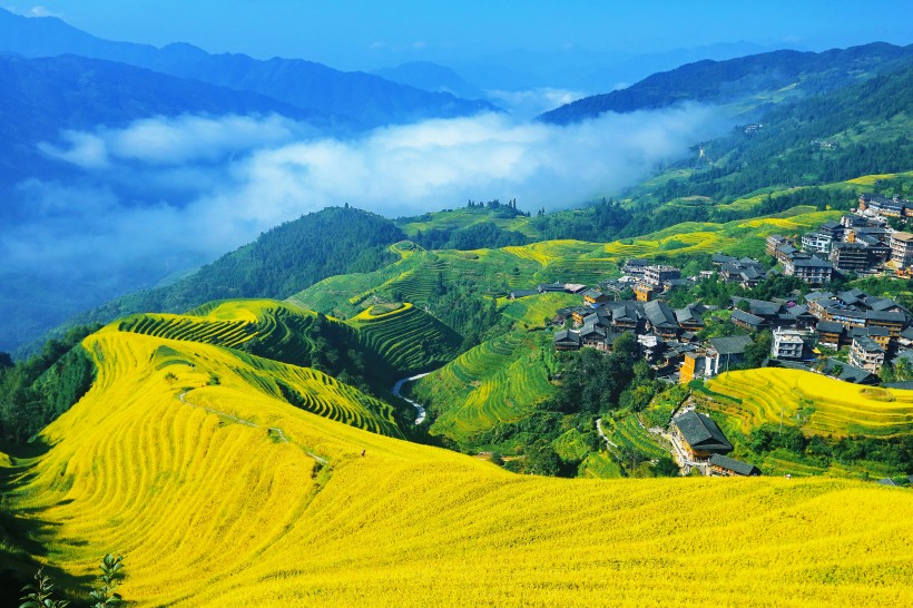 广西龙脊梯田风景图片