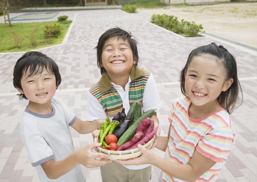 小学生实验课图片