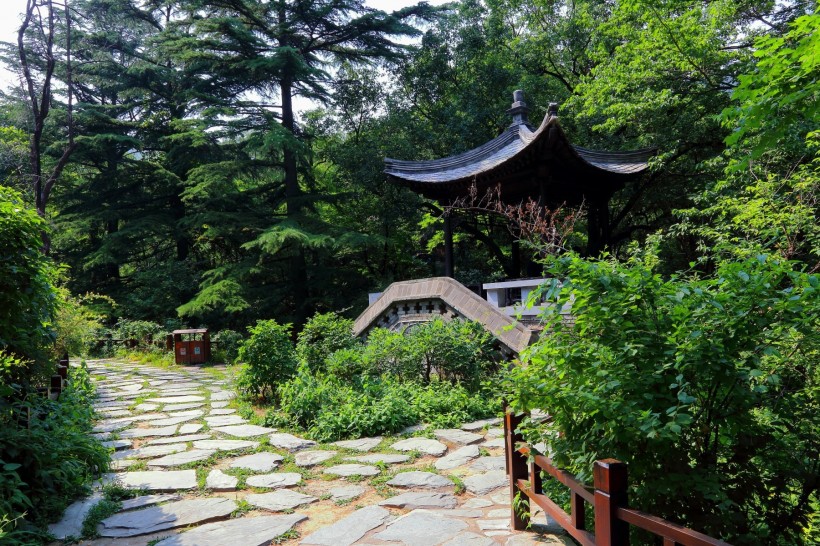 北京植物園風(fēng)景圖片