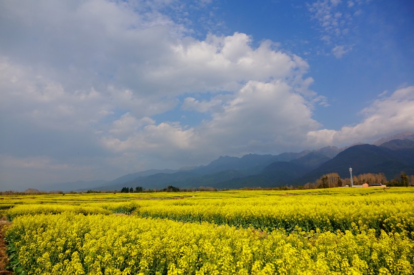 云南腾冲田园风景图片