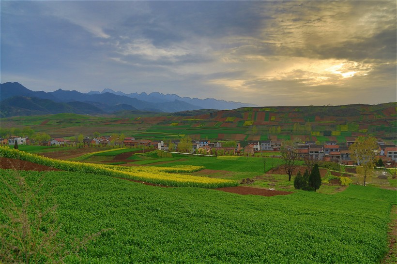 陜西西安鮑旗寨村油菜花風(fēng)景圖片