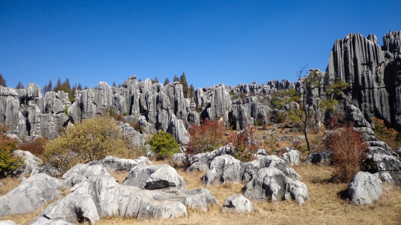 云南石林风景图片