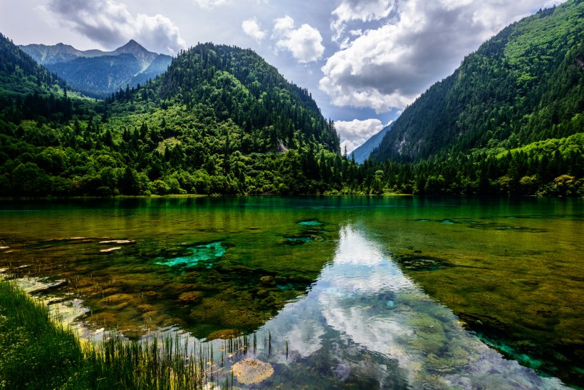 夏日九寨沟风景图片