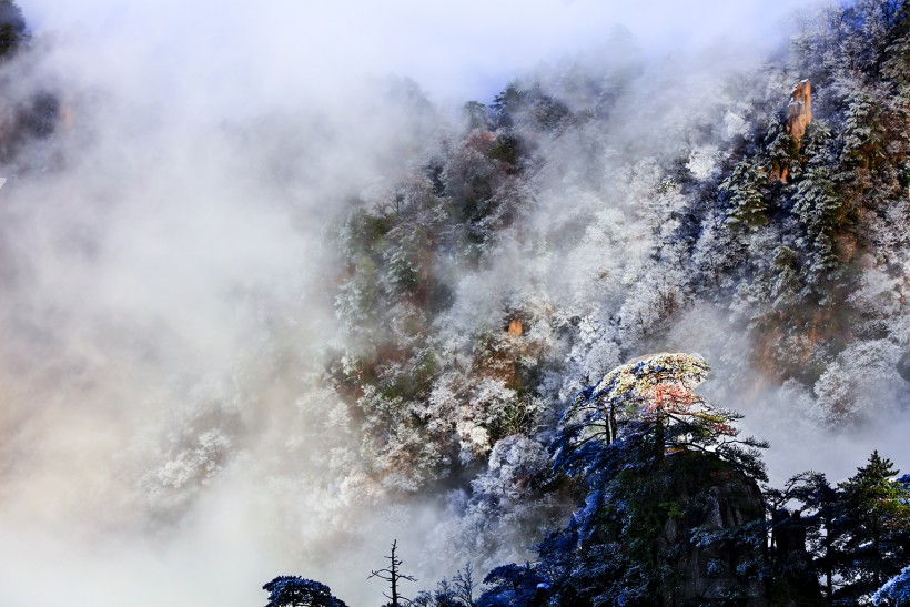 安徽黄山风景图片