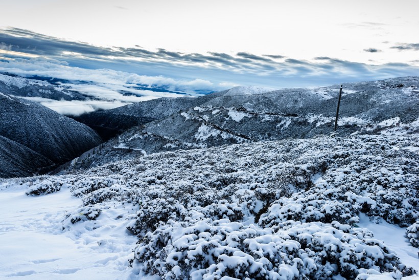 四川高爾寺山雪景圖片