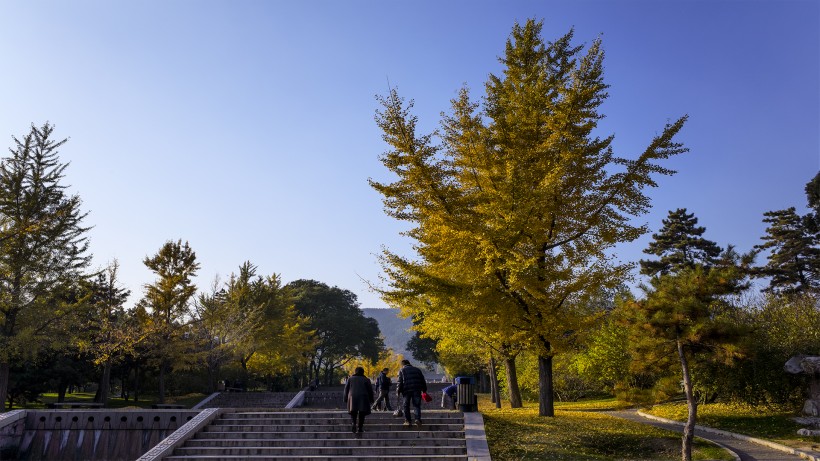 山西太原晋祠风景图片