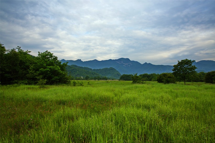 湖北神农架大九湖风景图片