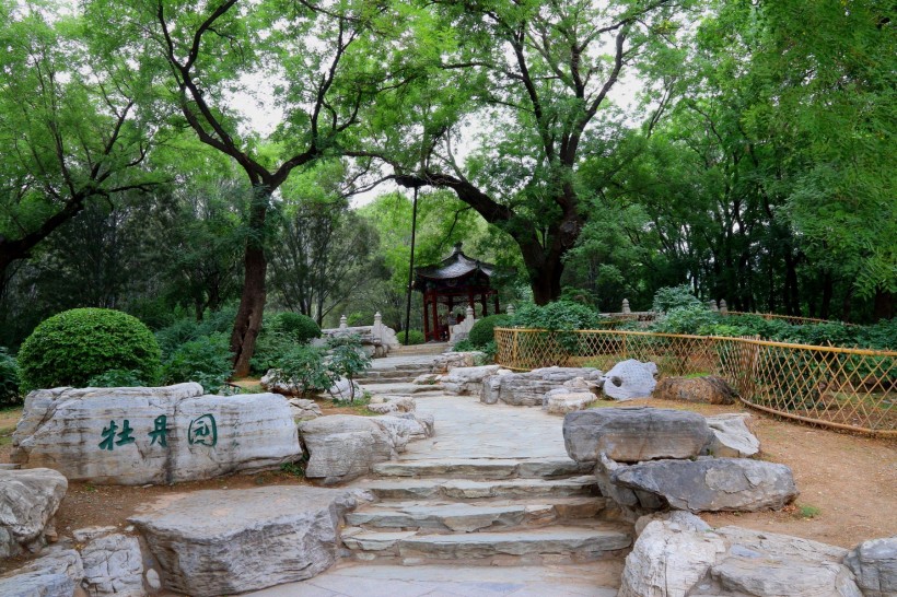 北京植物園風(fēng)景圖片